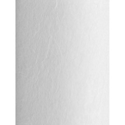 Картридж PP 10 - 20BB