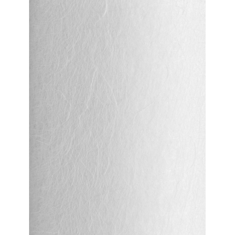 Картридж PP 10 - 20BB