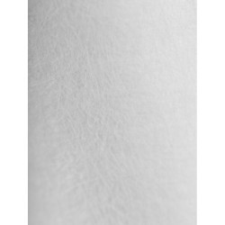 Картридж PP 25 - 10SL