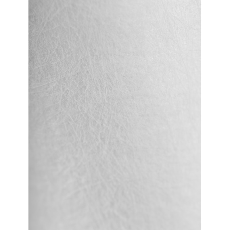 Картридж PP 25 - 10SL