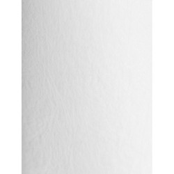 Картридж PP 50 - 10BB