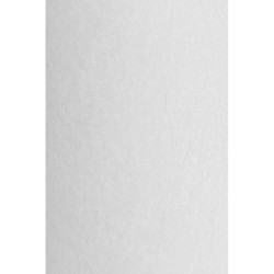 Картридж PP 50 - 20BB