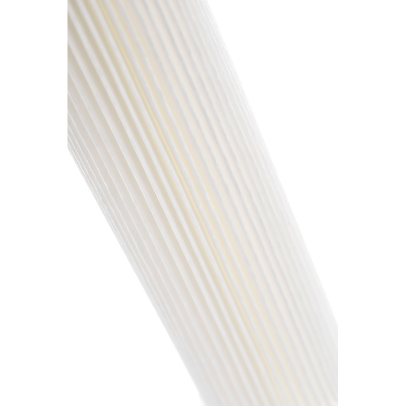 Картридж PPL 30 - 10SL