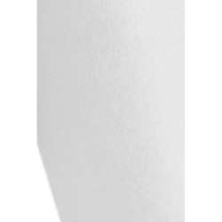 Картридж PP 10 - 30SL