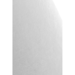Картридж PP 10 - 5SL