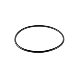 Кольцо уплотнительное для корпусов Гейзер C25 SL
