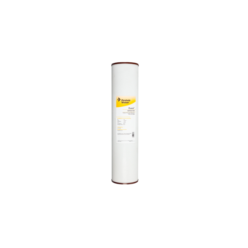 Картридж Pentair (Pentek) BB RFFE-20 Iron