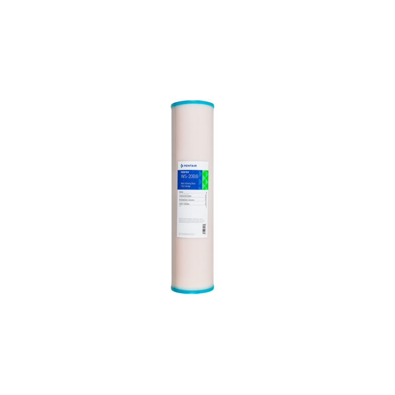 Картридж Pentair (Pentek) BB WS-20