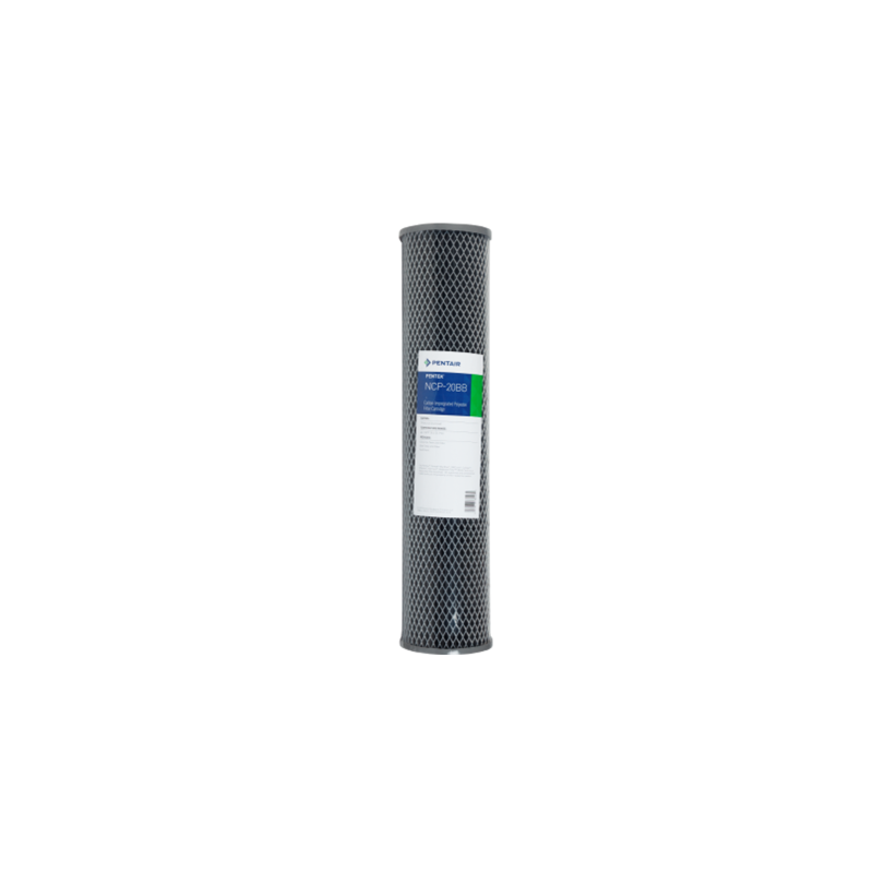 Картридж Pentair (Pentek) BB NCP-20