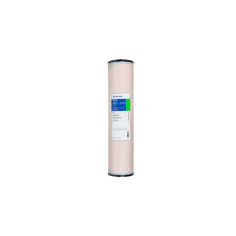 Картридж Pentair (Pentek) BB F1-20MB FDA D.I. Resin