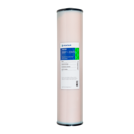 Картридж Pentair (Pentek) BB F1-20MB FDA D.I. Resin