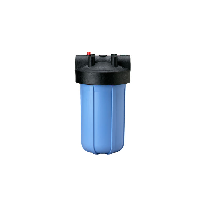 Корпус Pentair Big Blue 1"10 w/pr
