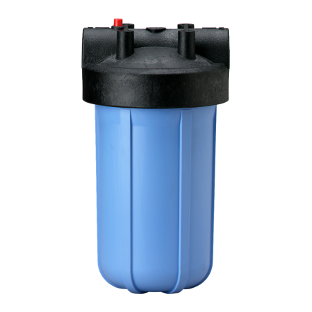 Корпус Pentair Big Blue 1"10 w/pr
