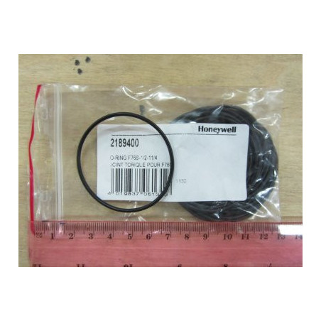 Прокладка сетки F76S-1/2"-11/4" (2189400)