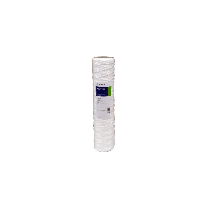Картридж Pentair (Pentek) BB BSWP5P-20 